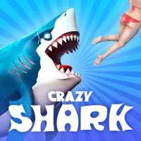 Crazy Shark Crazy Shark